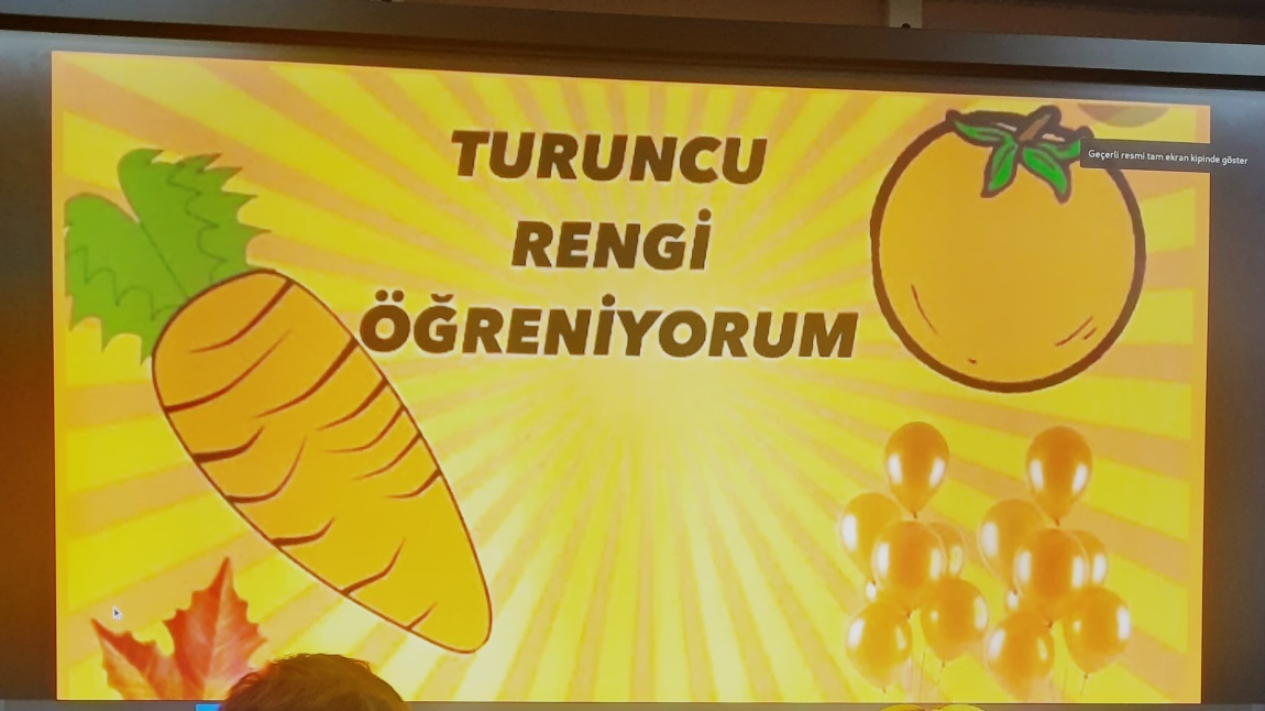 Turuncu Renk Kavramı